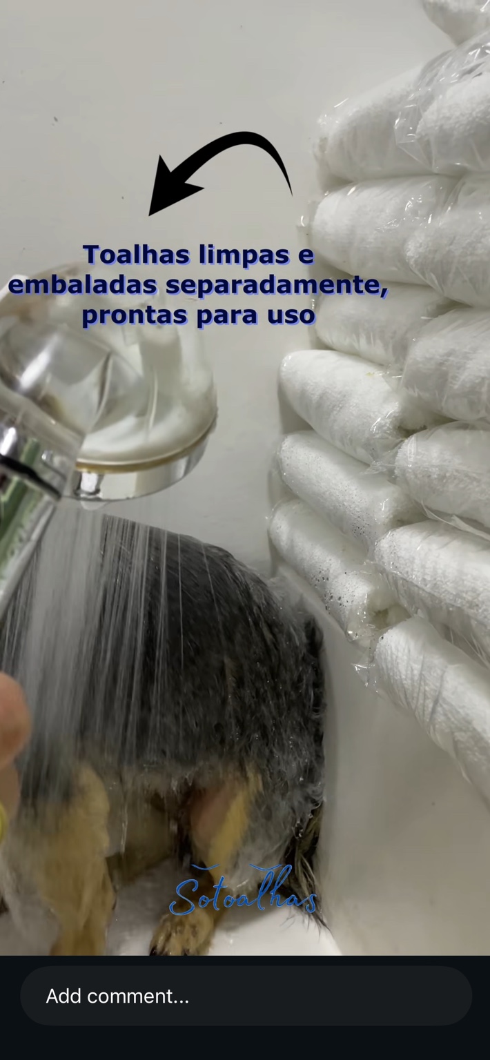 Cão durante o banho, ao lado de toalhas embaladas separadamente